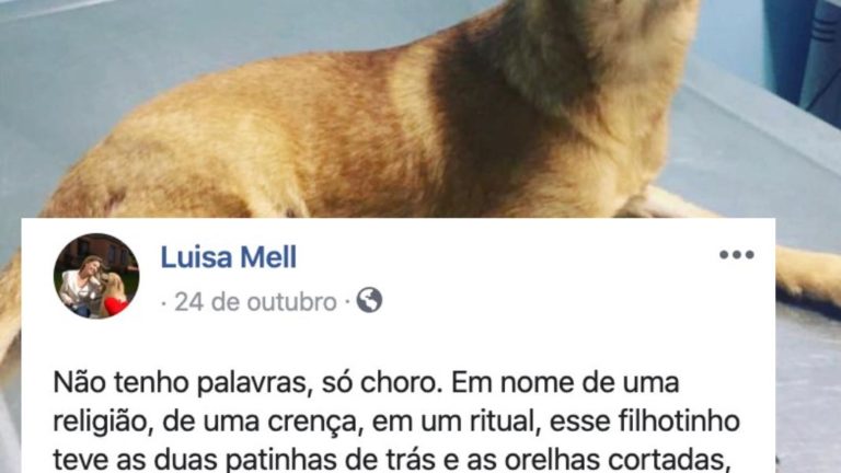 Intolerância: Casa de Oxumaré notifica Facebook extrajudicialmente pedindo remoção de postagens ofensivas de Luisa Mell