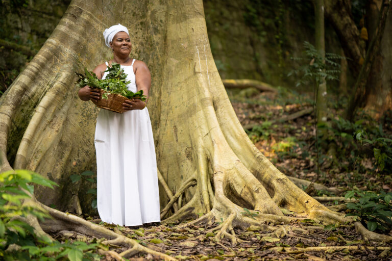 “O poder das ervas”: Mãe Celina de Xangô lança seu primeiro livro