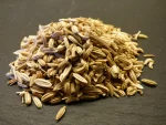 fennel-307555_1920