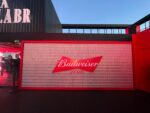 Budweiser