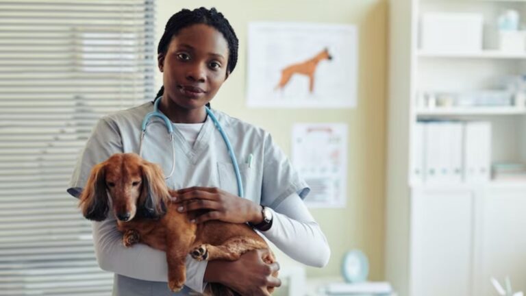 Profissionais negros realizam nova edição do Simpósio Afrocentrado de Medicina Veterinária, em São Paulo Profissionais negros realizam nova edição do Simpósio Afrocentrado de Medicina Veterinária, em São Paulo