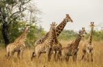 Parque-Nacional-da-Quicama_01-640×420-1