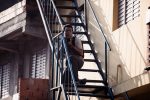 CDD_OD20_RENATO_NASCIMENTO-16