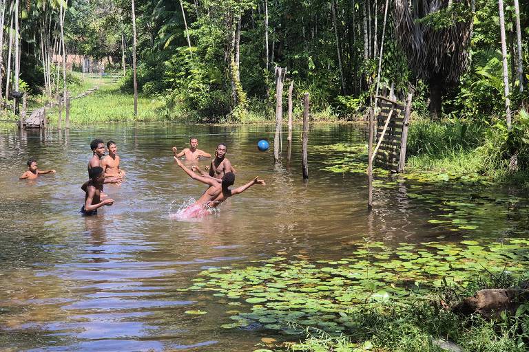 Floresta dos Guarás: Um mergulho nas raízes afro-brasileiras e no turismo comunitário no Maranhão