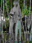 image (9)