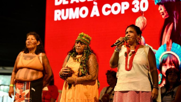 COP 30: povos originários e negros na tomada de decisão