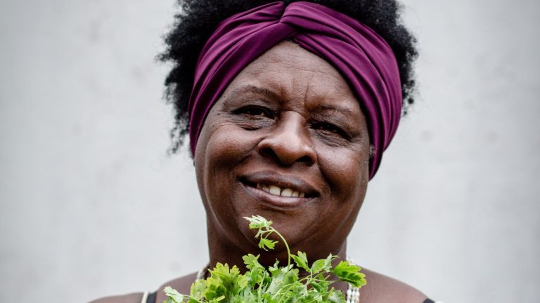 ‘Cozinhando Histórias’: espetáculo idealizado pela chef Deni Correa celebra a gastronomia e a cultura quilombola ‘Cozinhando Histórias’: espetáculo idealizado pela chef Deni Correa celebra a gastronomia e a cultura quilombola