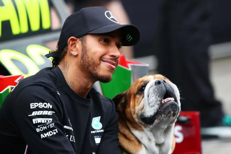 Lewis Hamilton se ausenta de teste da Ferrari após seu cão de estimação Roscoe entrar em coma