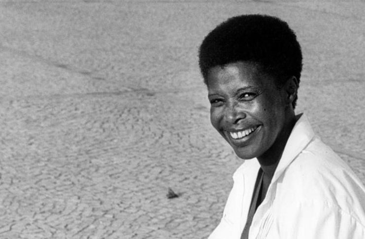 Novembro Negro: 10 documentários para entender a negritude brasileira