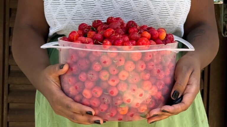 Do jambolão à acerola: as frutas brasileiras que deixamos de comer no dia a dia
