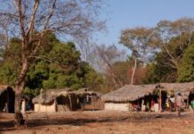 Após séculos de resistência, maior quilombo do Brasil entra em processo de tombamento na Chapada dos Veadeiros