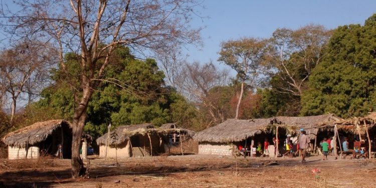 Após séculos de resistência, maior quilombo do Brasil entra em processo de tombamento na Chapada dos Veadeiros
