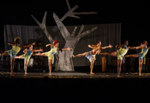 Cia Treme Terra celebra 20 anos com temporada em São Paulo Cia Treme Terra apresenta temporada de 20 anos no Sesc 24 de Maio