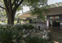 MAM lança curso online sobre legado de artistas negras nas artes brasileiras