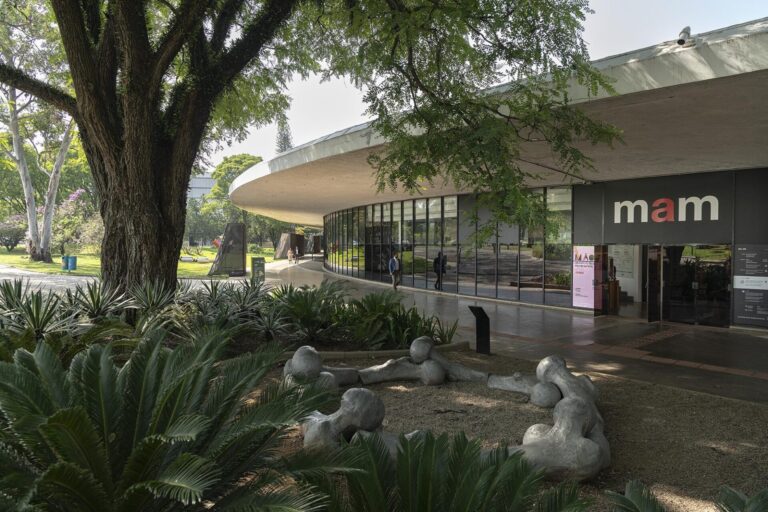 MAM lança curso online sobre legado de artistas negras nas artes brasileiras
