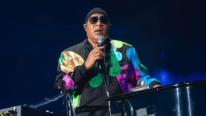Stevie Wonder durante apresentação musical